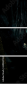 69584743