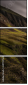 69759764