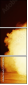 71231906