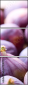 71518777