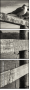 72072664