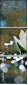72576012