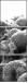 73096303