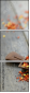 74330107