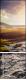 74834150