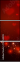 74953593