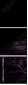 75116063