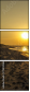 75344366