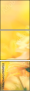 75458724