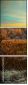 75611043