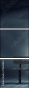 75638844