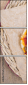 75653463