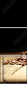 75743507