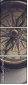 75916775