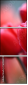 76096373