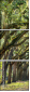 76209403