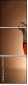 77315677