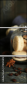 78025812