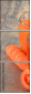 78102843