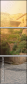 78312437