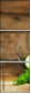 78339337