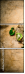 99225071