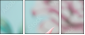 12612957