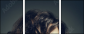 137653547