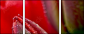 15487800