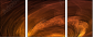 1616075