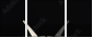 18518583