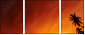 20708520