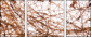 23639472