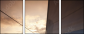 23896899