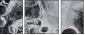 25109455