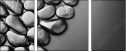 25876138