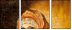 26905100