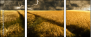 27477176