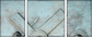 27699824