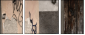 28835543