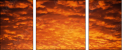 29892519