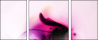 31395557
