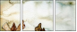 38847914