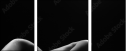 38857159