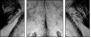 39012933
