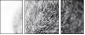 41365560