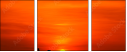 42832651