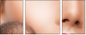 44016829