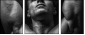 45026445