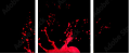 45070058